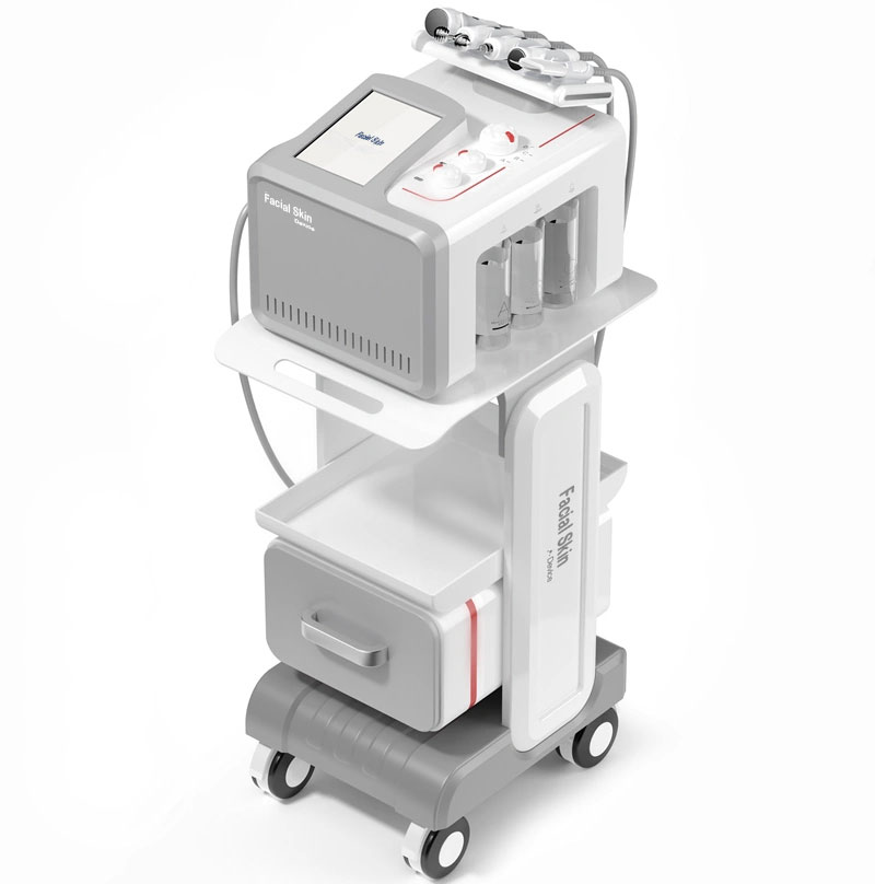 Facial Skin Care System YSK601A